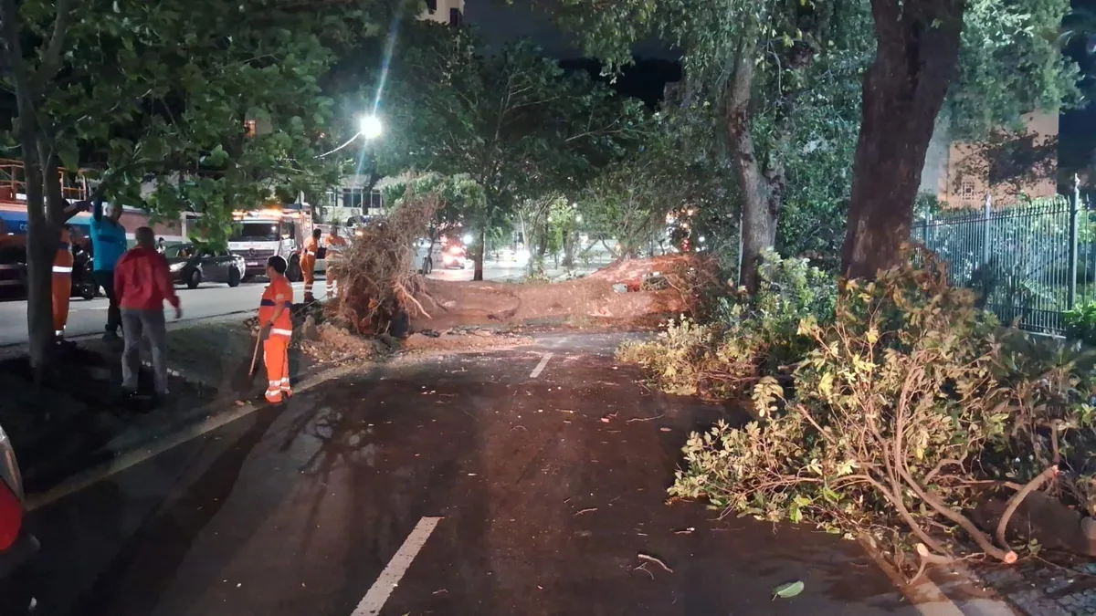 Ventos derrubam árvores e bloqueiam ruas no Rio de Janeiro
