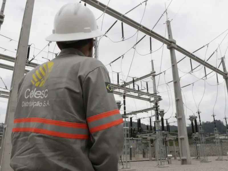 Ave provoca falha na rede e interrompe energia em bairro de Blumenau