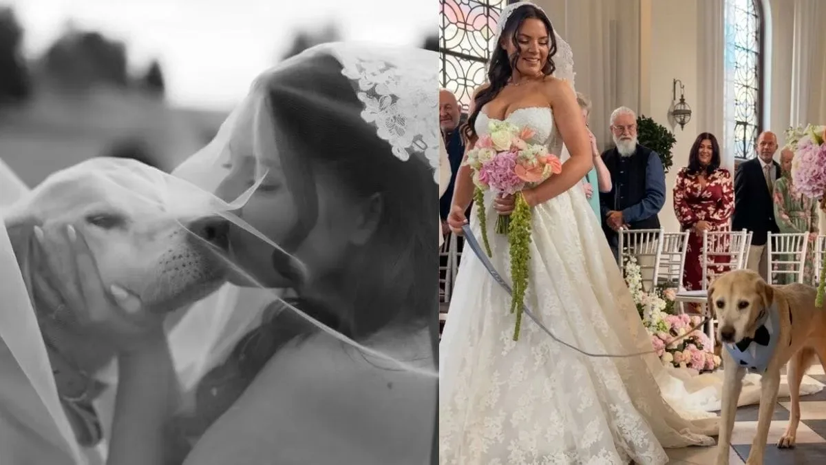 Billy participa do casamento de Amie e morre dias depois da cerimônia