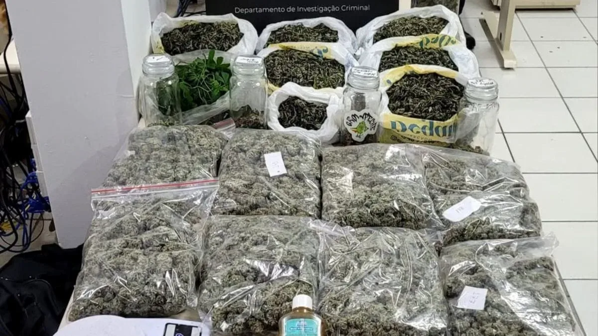 Homem é preso em Florianópolis após investigação sobre cultivo ilegal de cannabis