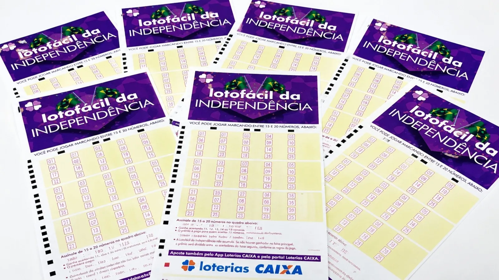 Apostas de Dourados dividem prêmio da Lotofácil da Independência