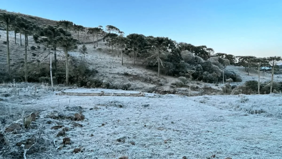 Santa Catarina terá amanhecer gelado e tarde mais quente nesta quinta-feira