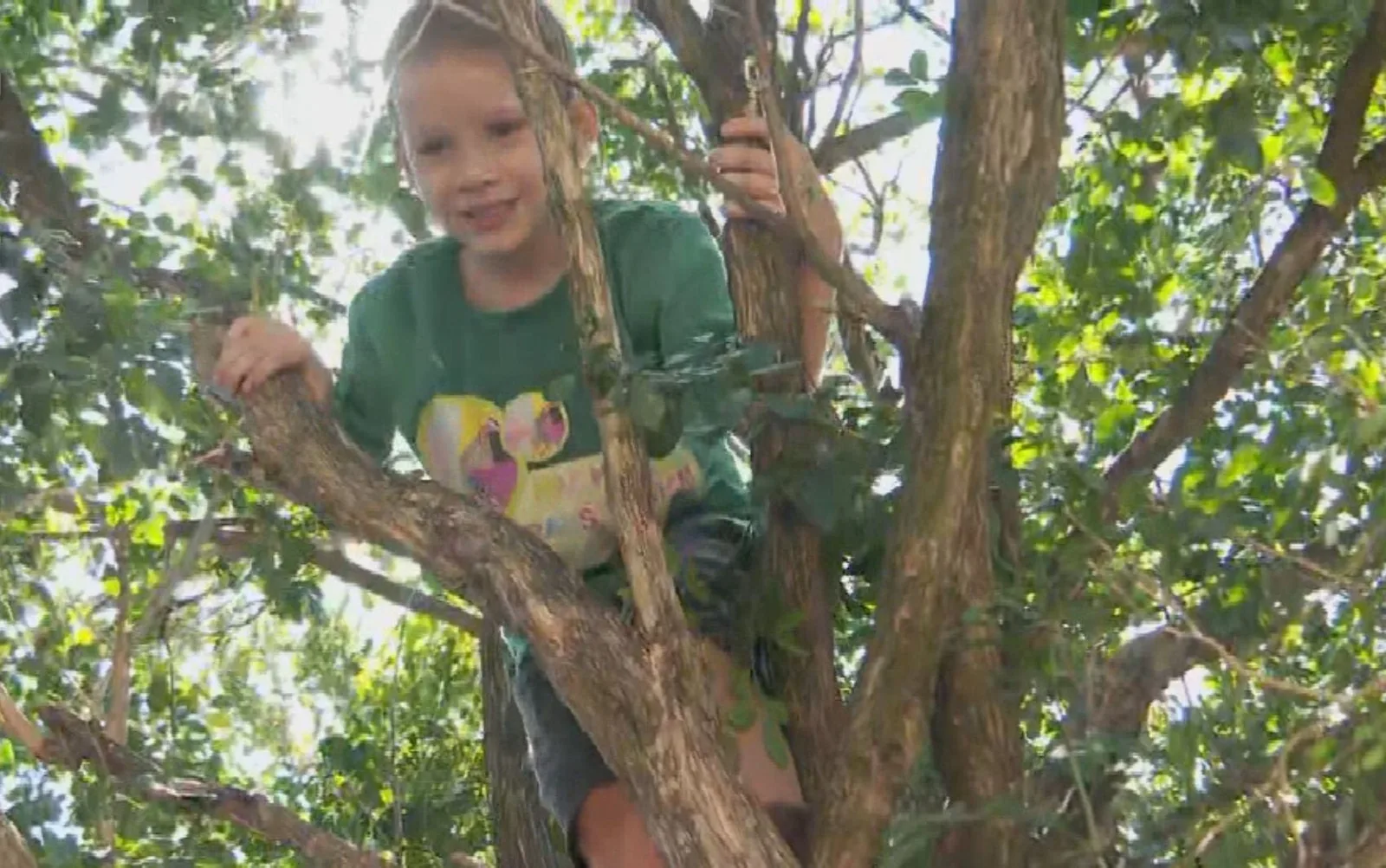 Menino de 6 anos é encontrado dormindo em árvore após buscas em Goiânia