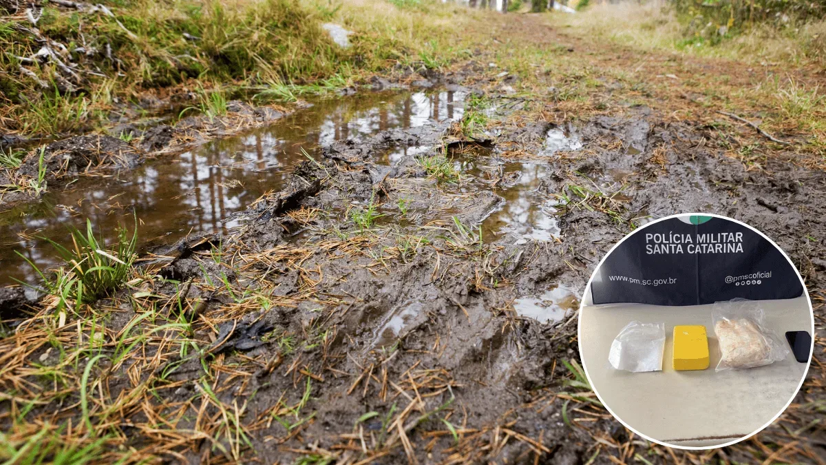 Fuga por área de mata leva PM a apreender 2,2 kg de cocaína em SC