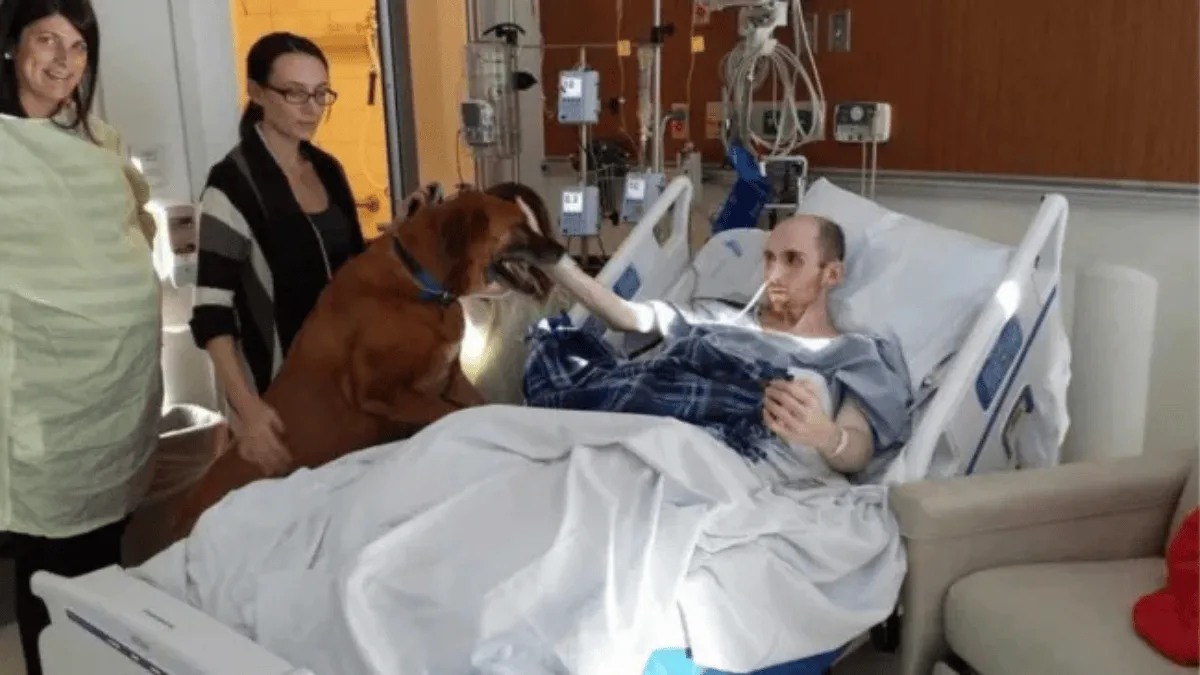 Foto registra reencontro de jovem com cachorro durante internação por câncer