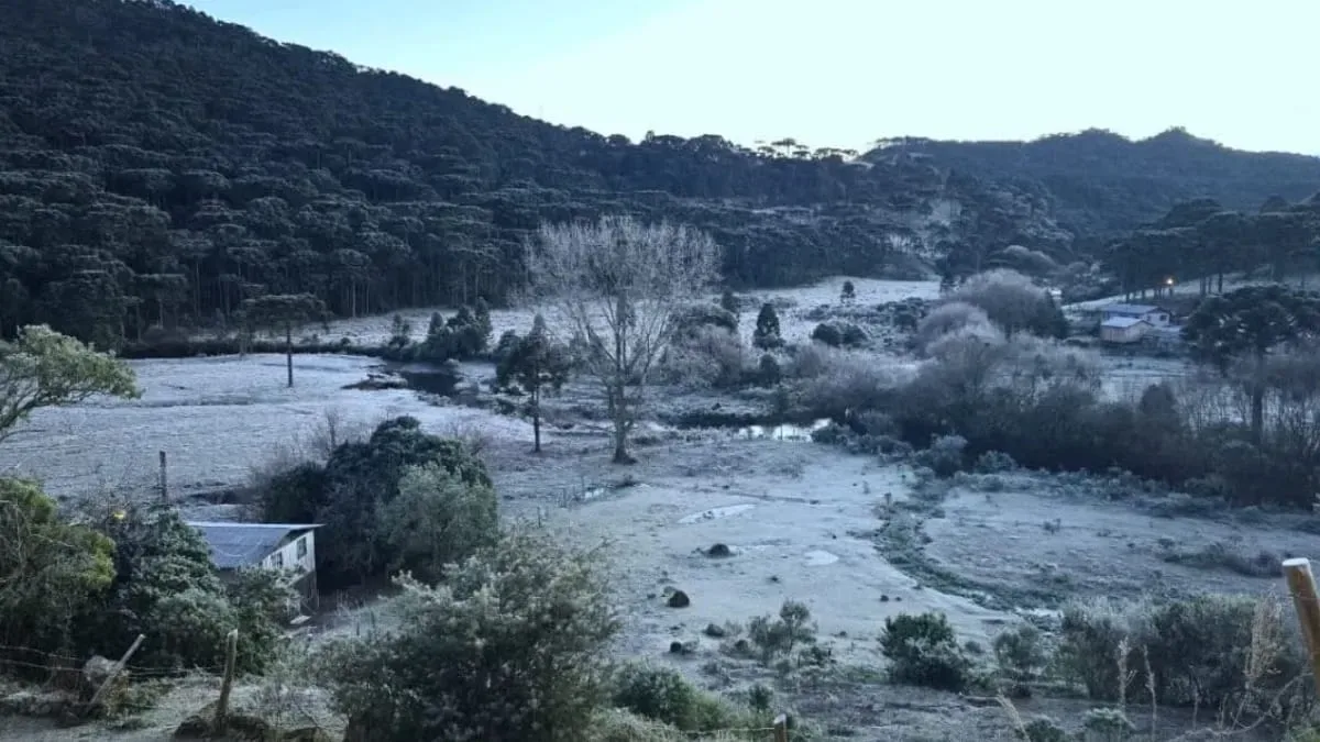 Geada pode alcançar Planaltos e Meio-Oeste de Santa Catarina na quarta-feira