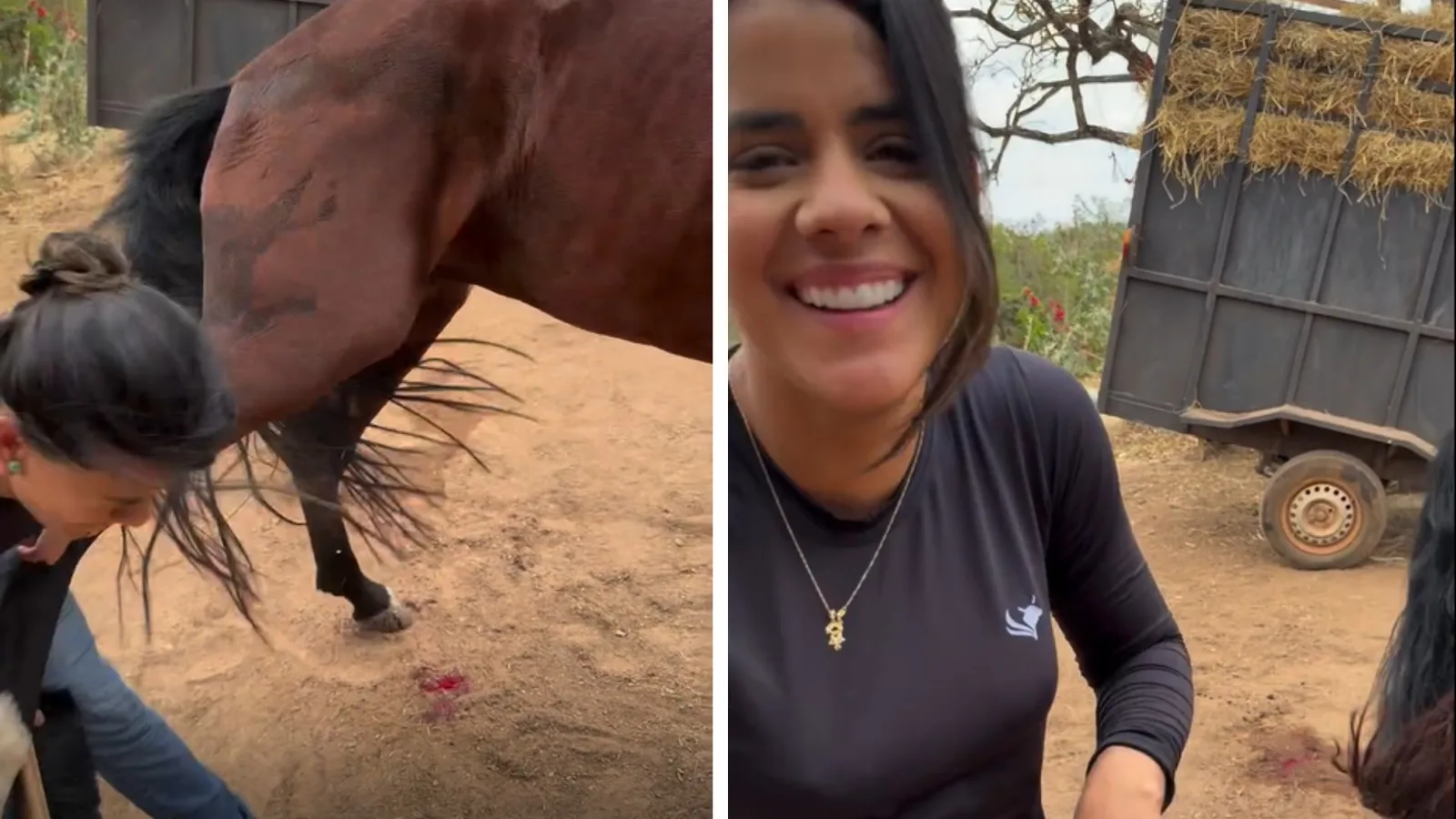 Veterinária leva coice durante gravação e explica cuidados com cavalos