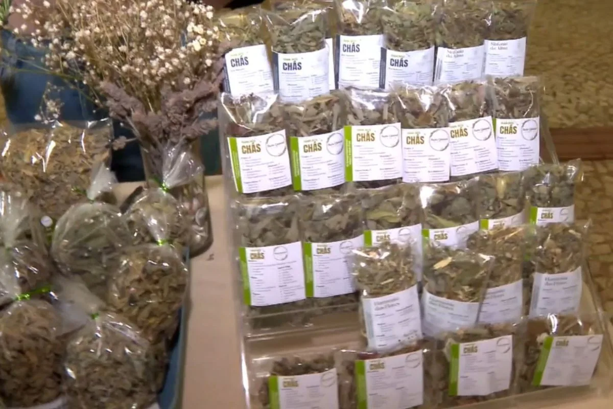 Pesquisa reforça cuidados no uso de plantas medicinais e fitoterápicos