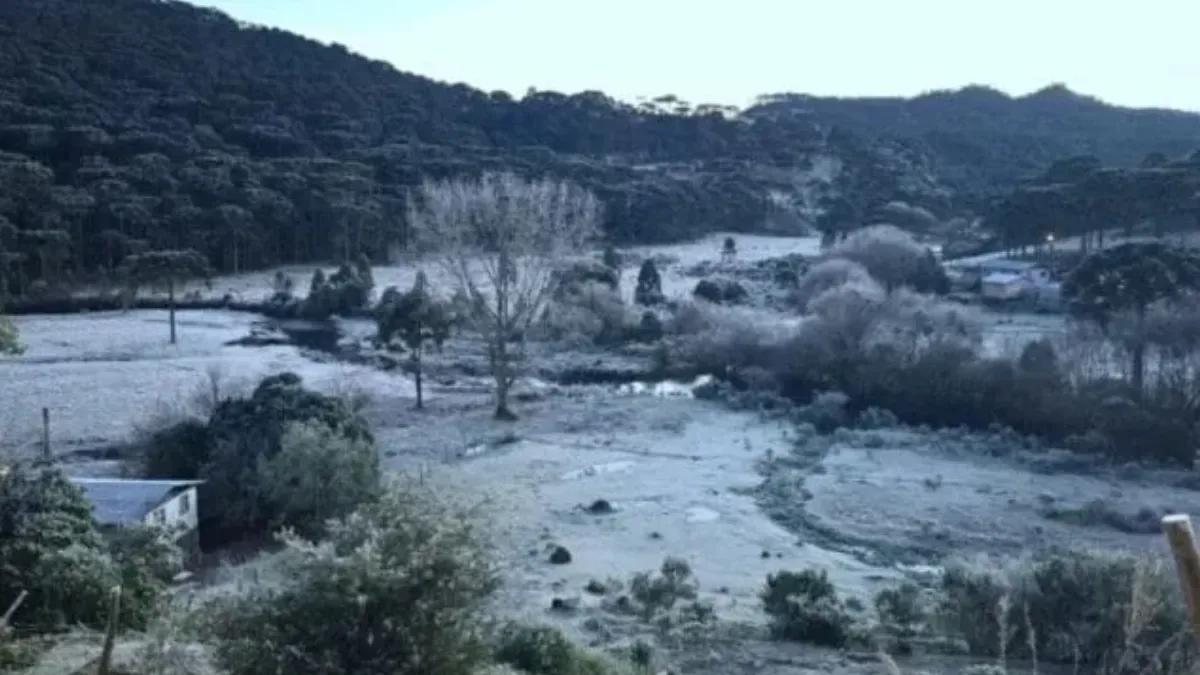 Massa de ar polar derruba temperaturas e pode provocar geada em Santa Catarina