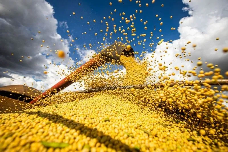Agricultura brasileira alcança R$ 927,2 bilhões em valor de produção em 2025