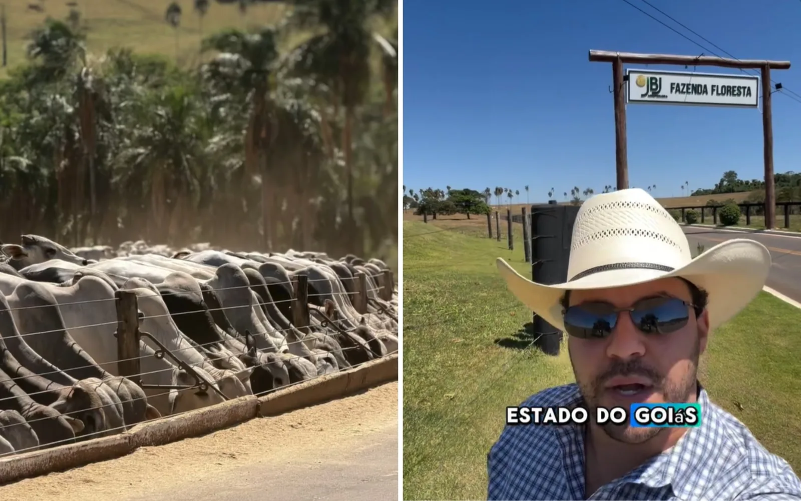 Agrônomo apresenta fazenda em Goiás com capacidade para 20 mil bovinos