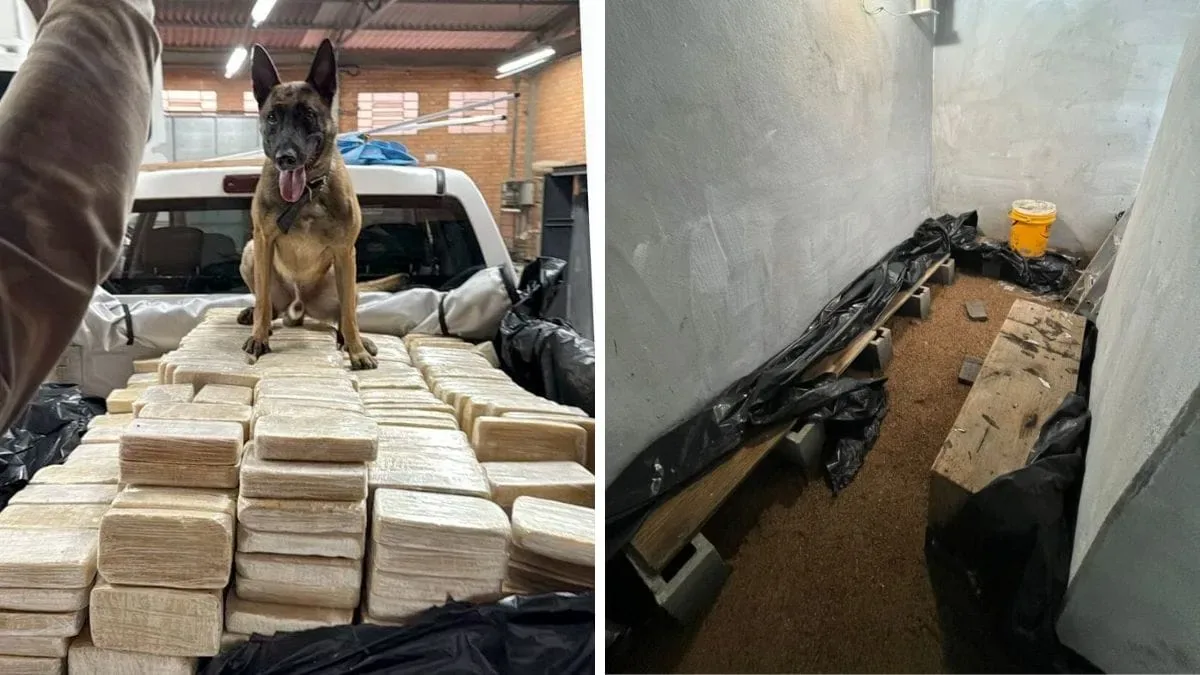 Interpol prende britânico ligado a apreensão de 613 quilos de cocaína em Blumenau