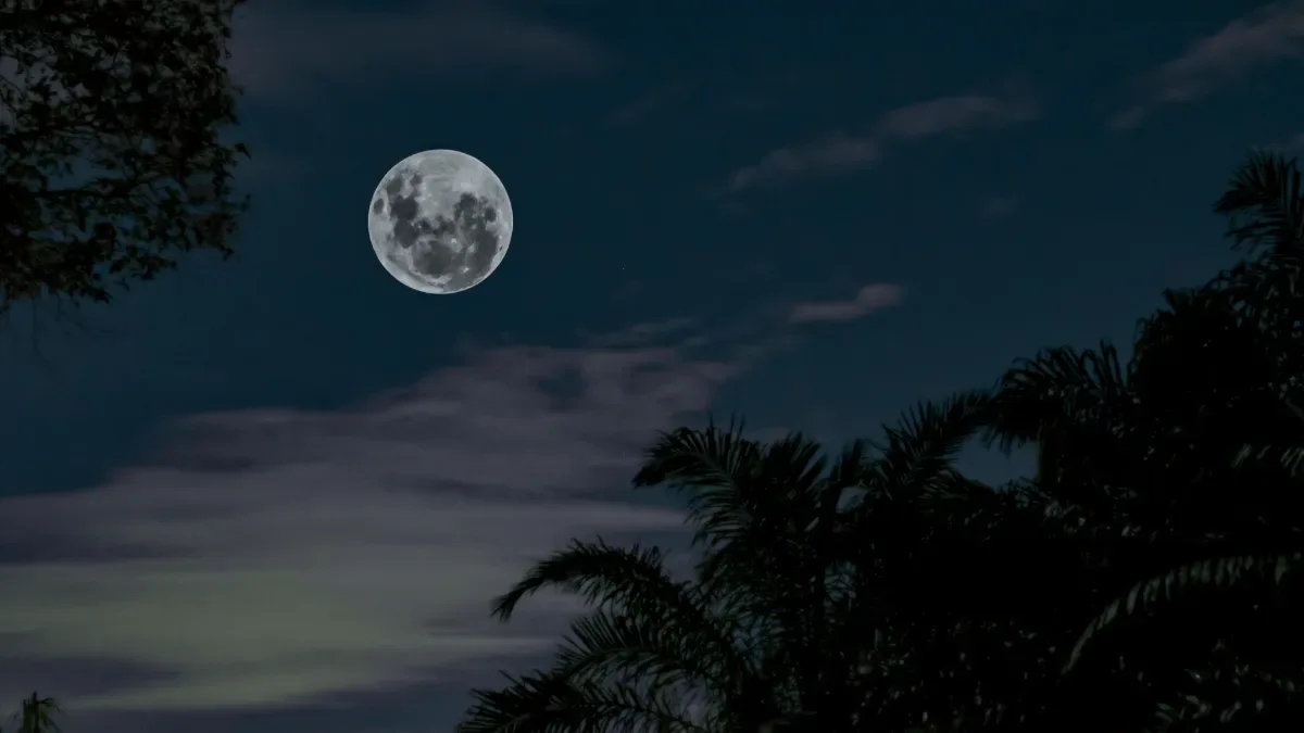 Lua atinge fase Cheia neste sábado, com visibilidade total no céu