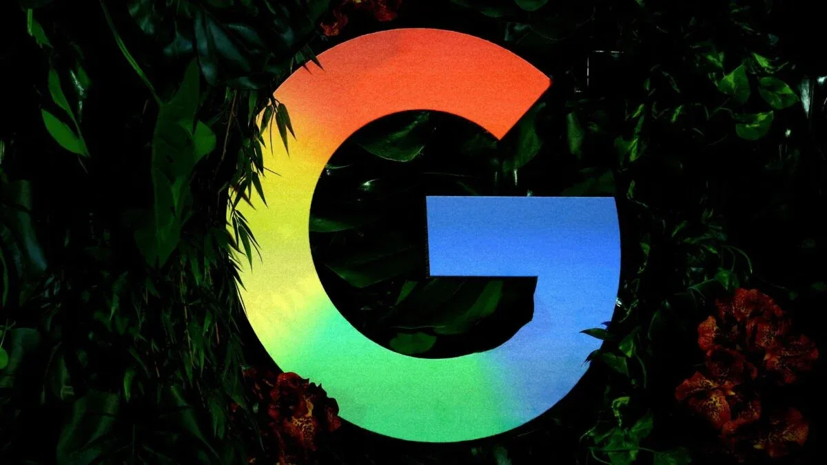 Google apoia projeto de carbono em arrozais do Rio Grande do Sul