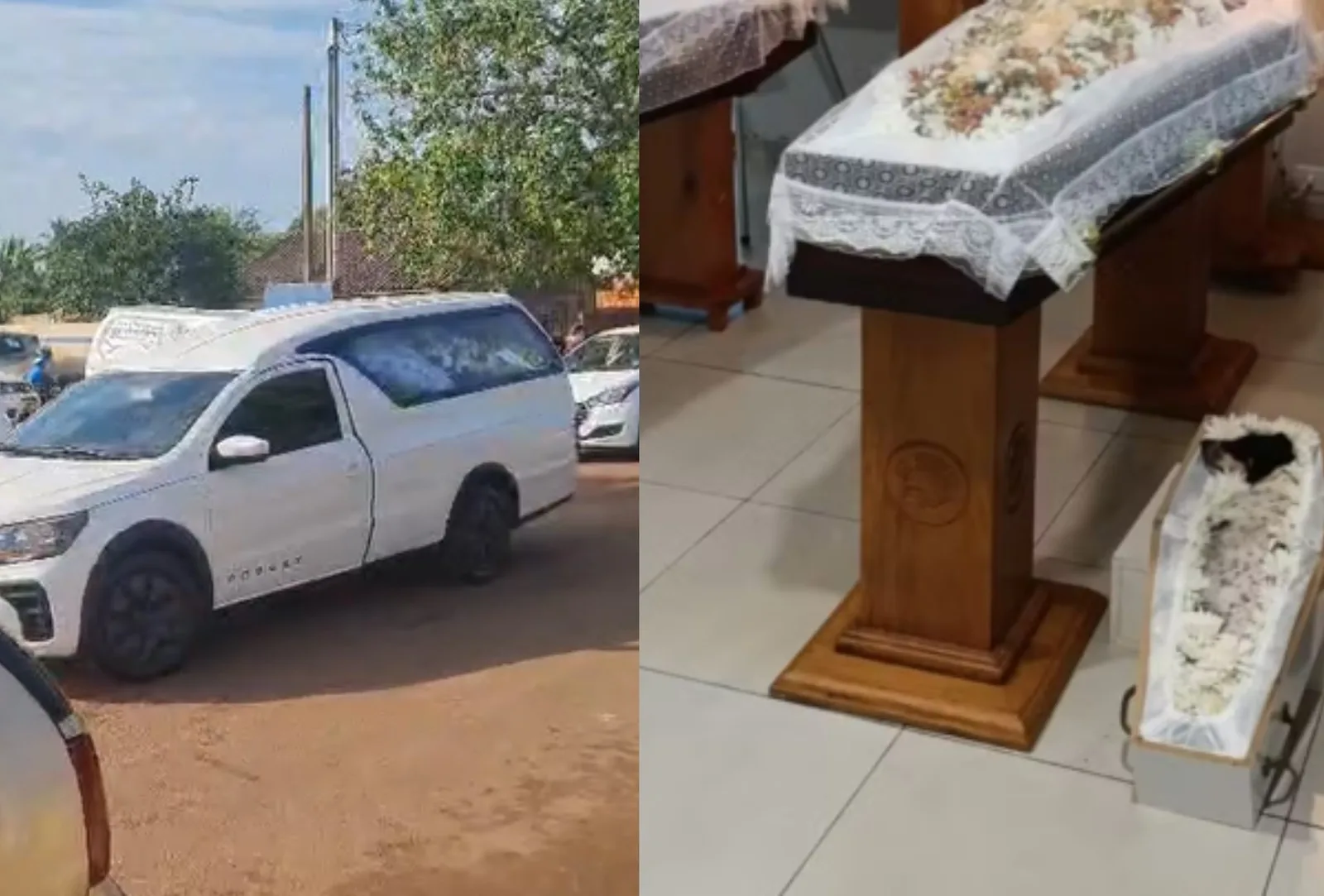 Bela Vista se despede de pai, duas filhas e cachorrinha mortos na BR-163