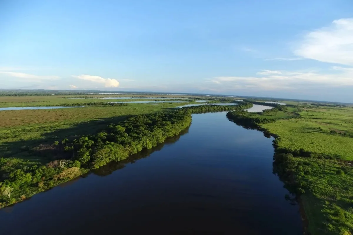Lavouras avançam e pastagens encolhem na Mata Atlântica de Mato Grosso do Sul