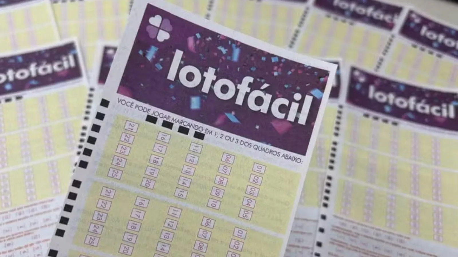 Quatro apostas de Goiás dividem R$ 17,9 milhões na Lotofácil