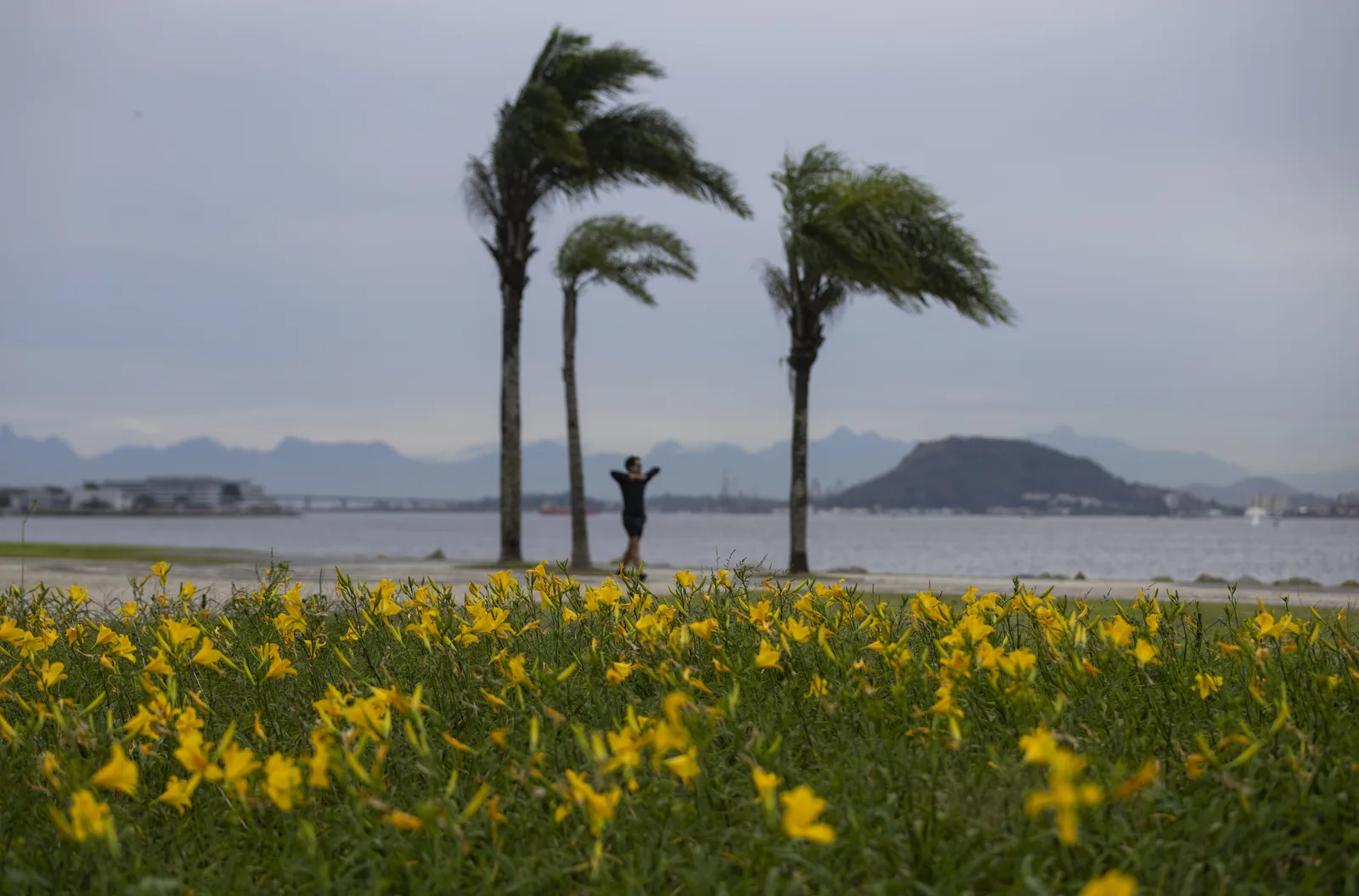 Primavera deve ter calor acima da média, ventos fortes e chuva intensa