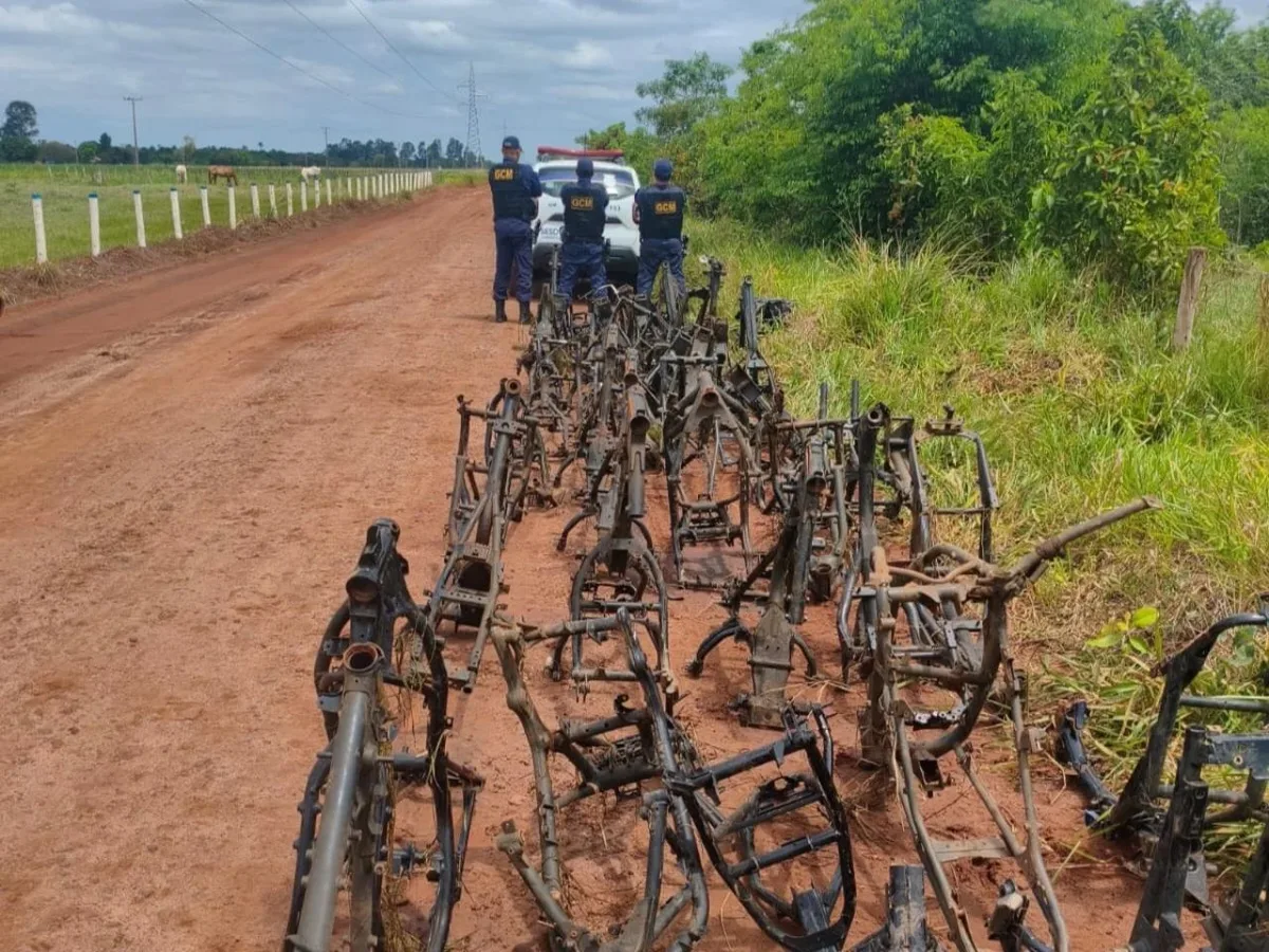 GCM encontra mais de 120 quadros de motos em matagal de Anhanduí
