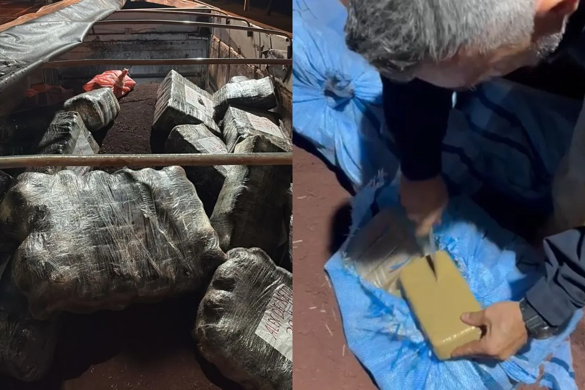 PRF apreende mais de 1 tonelada de drogas escondida em carreta em Miranda