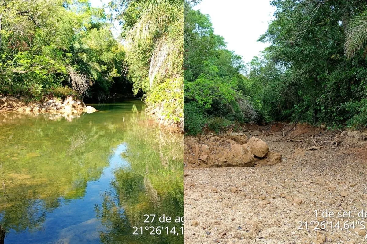 Trecho do Rio da Prata seca em quatro dias e mobiliza resgate de peixes em MS