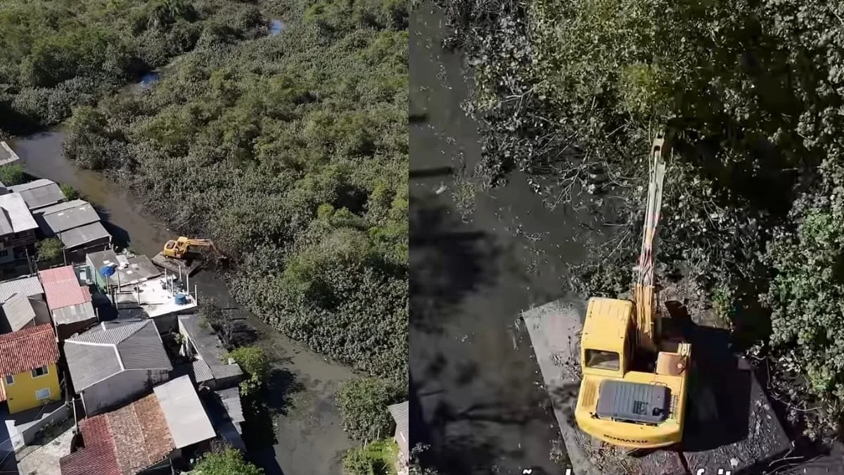 ICMBio pede licenciamento para desassoreamento no Rio Tavares