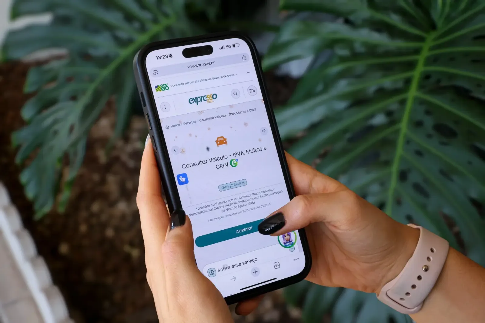 Detran-GO alerta para golpes durante pagamento do IPVA 2026