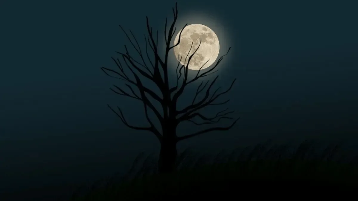 Lua Cheia marca o céu nesta quinta-feira, 1º de outubro