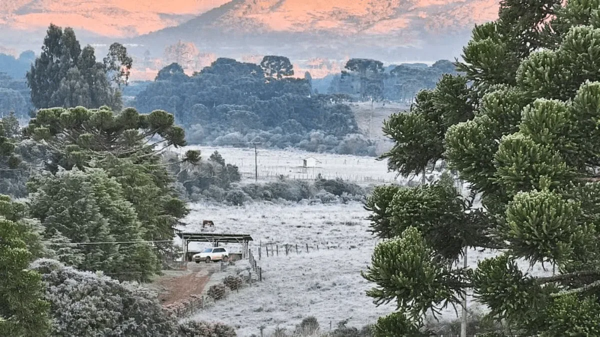 Frio avança em Santa Catarina nesta quarta-feira, com máximas de até 20°C