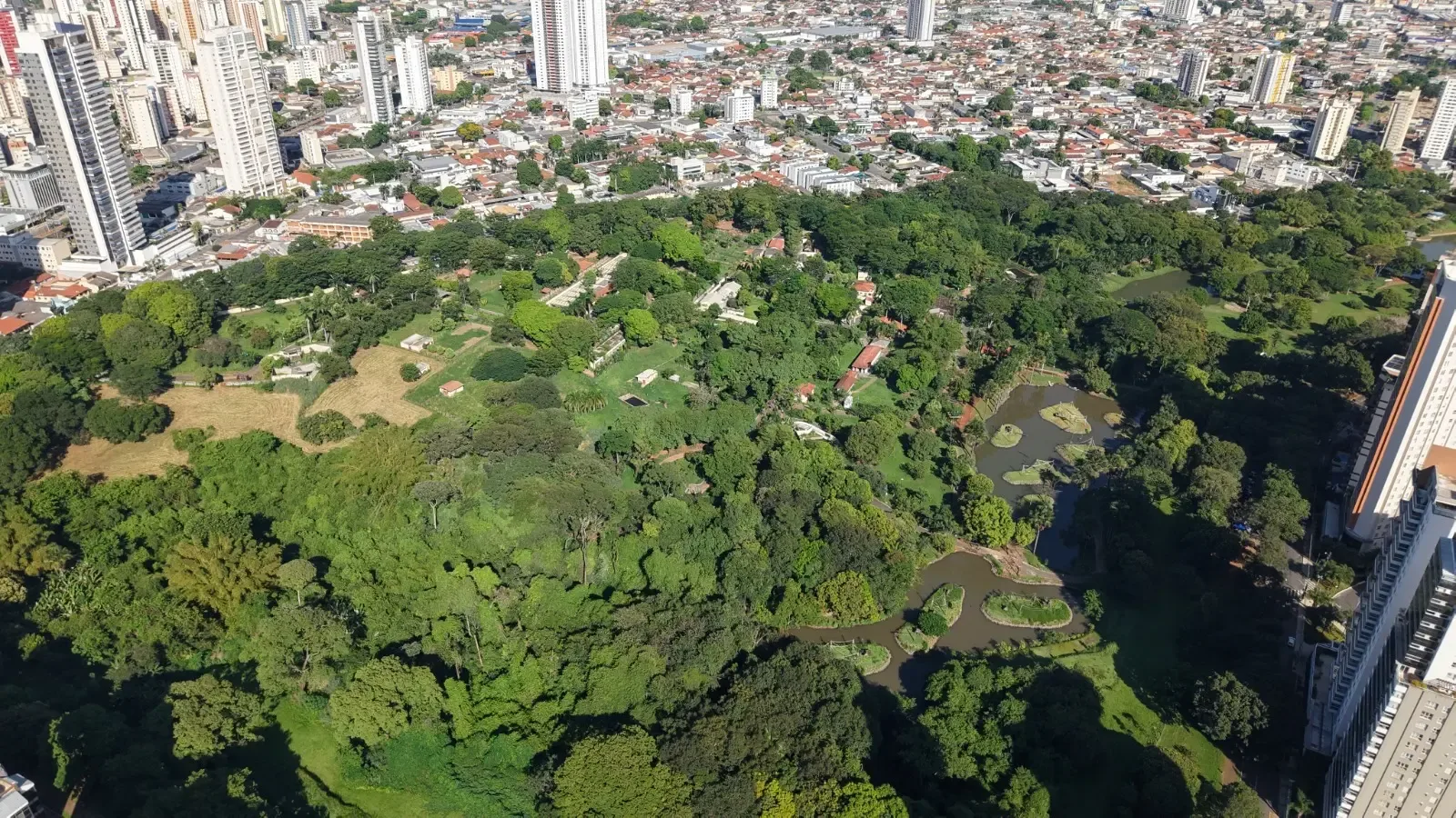 Goiânia tem gastronomia e hospitalidade entre os itens mais bem avaliados por visitantes