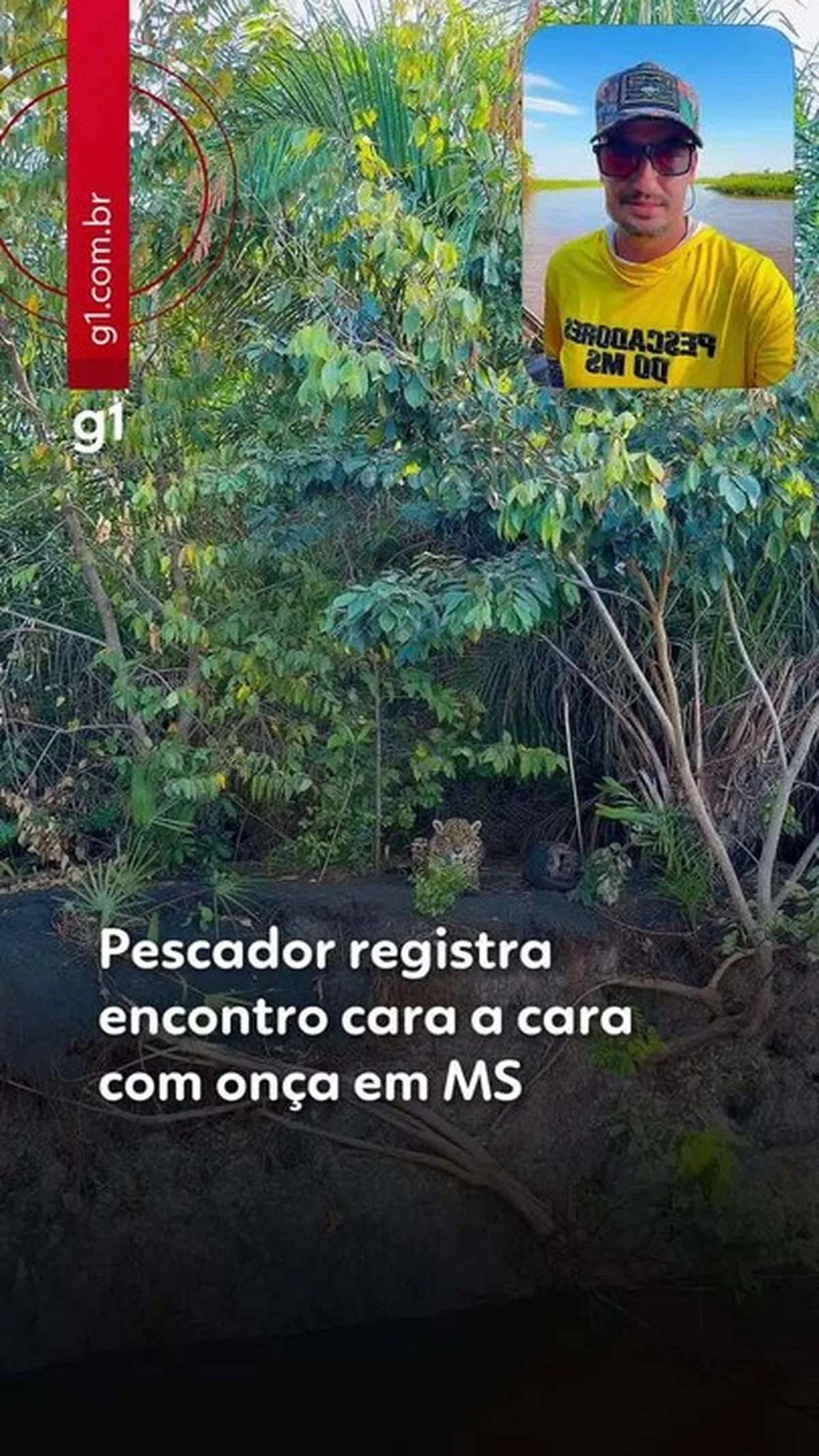 Pescador encontra duas onças durante expedição pelo Pantanal de Mato Grosso do Sul
