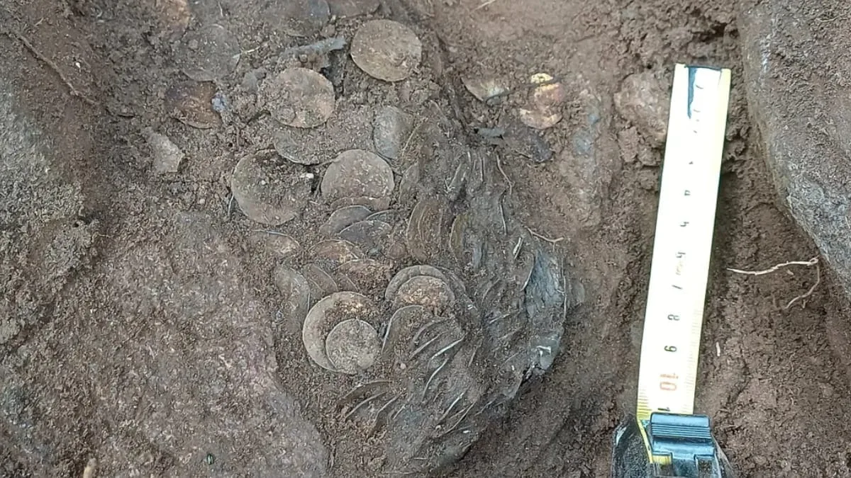 Tesouro com moedas de prata do século XI é encontrado na Finlândia