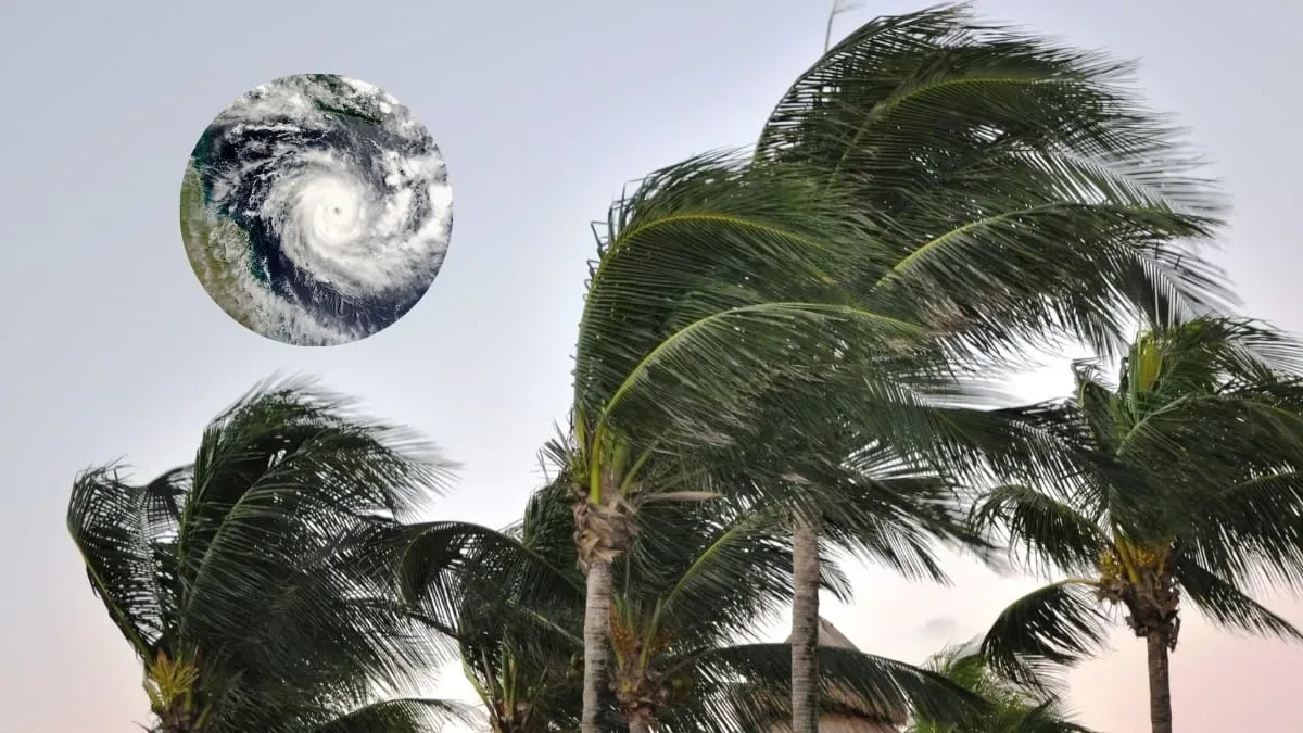 Ciclone extratropical deve provocar temporais e ventos fortes em Santa Catarina