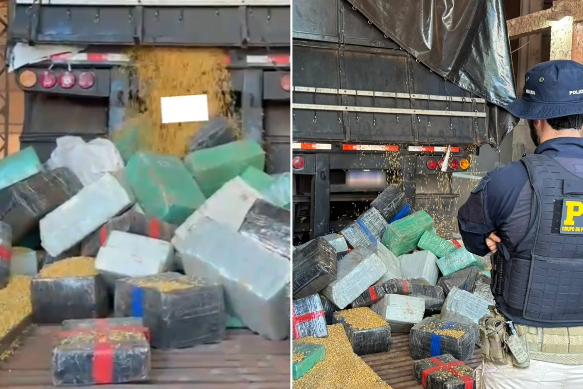 Carreta com milho levava 5.280 quilos de maconha em rodovia de MS