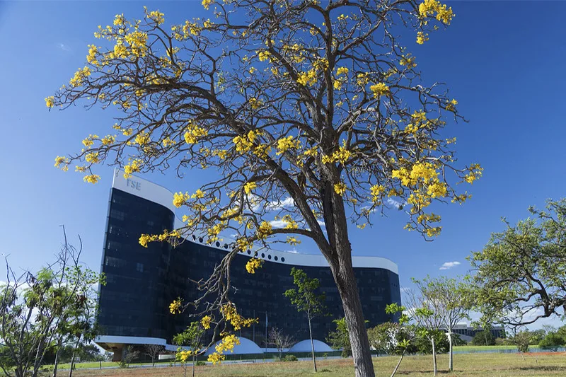 Justiça Eleitoral barra candidaturas após contestações do Ministério Público