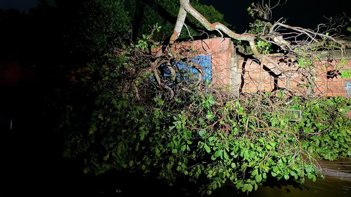 Chuva supera previsão e mobiliza equipes após danos em Jataí