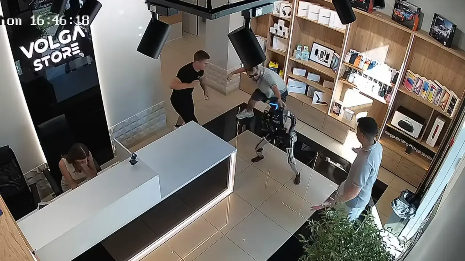 Vídeo mostra robô avançando contra cliente em loja na Rússia