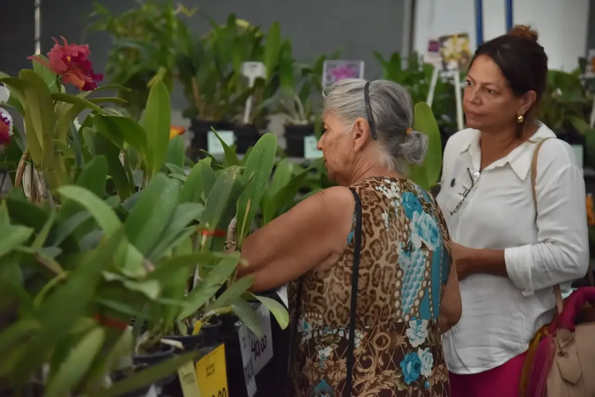 Aparecida de Goiânia recebe exposição com orquídeas, frutas e ação solidária