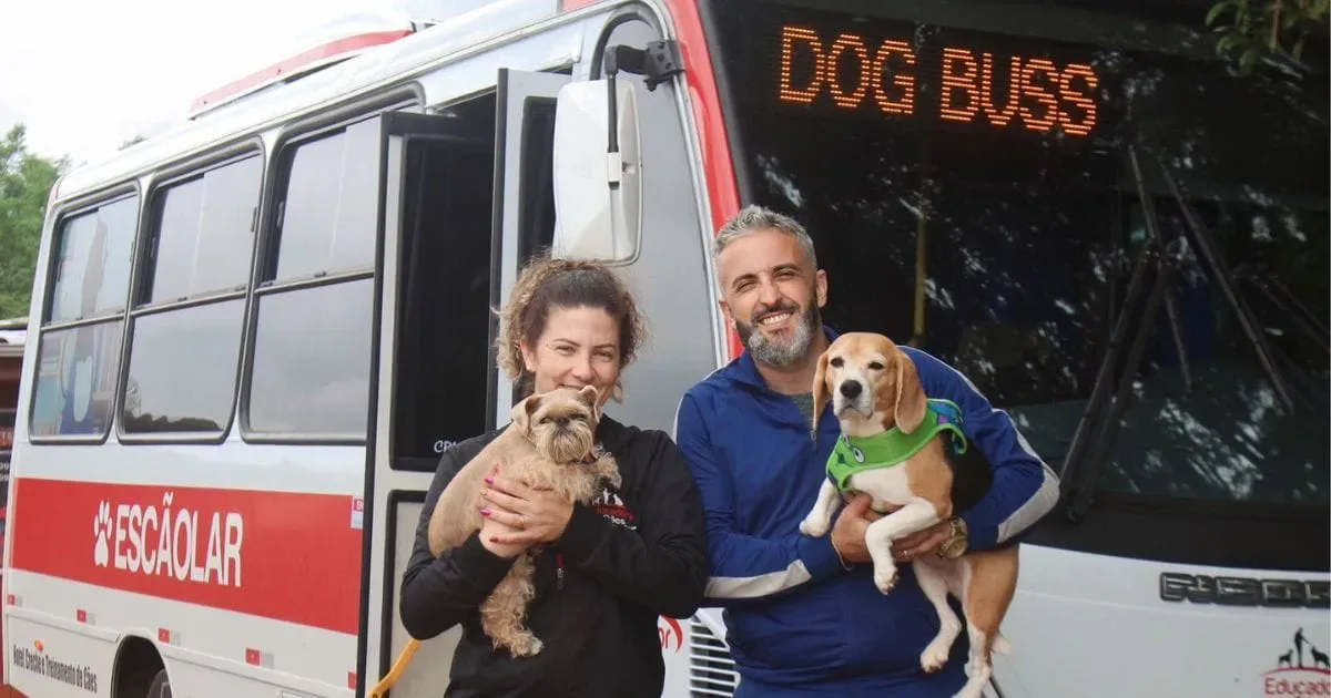 Rotina de cães no ônibus transforma educador catarinense em fenômeno digital